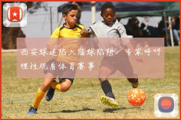 西安球迷陷入赌球陷阱，专家呼吁理性观看体育赛事