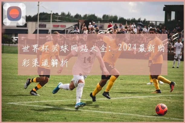 世界杯买球网站大全:2024最新购彩渠道解析