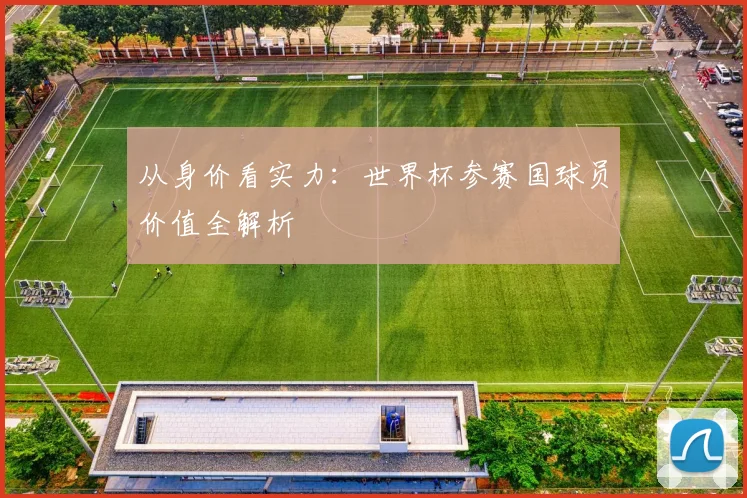从身价看实力：世界杯参赛国球员价值全解析