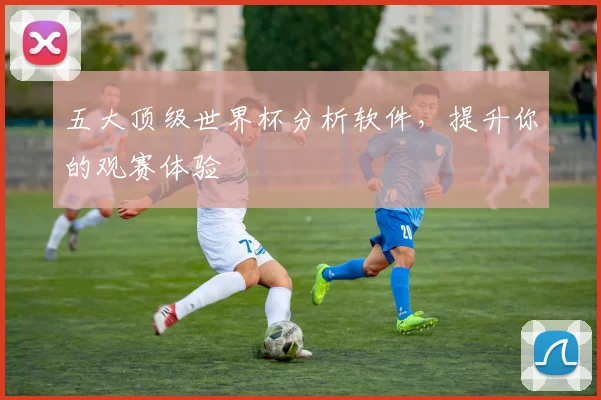 五大顶级世界杯分析软件,提升你的观赛体验